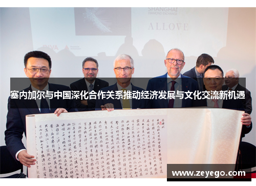 塞内加尔与中国深化合作关系推动经济发展与文化交流新机遇