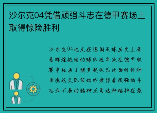 沙尔克04凭借顽强斗志在德甲赛场上取得惊险胜利